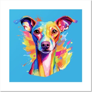 Colorful Italian Greyhound Posters and Art